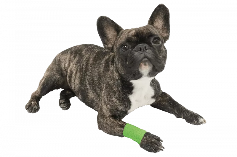 Vetlando Anti-Lick-Bandage Small 2-er